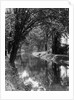 1920s 1930s water in section of abandoned delaware canal reflecting trees lining its banks by Anonymous