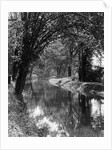 1920s 1930s water in section of abandoned delaware canal reflecting trees lining its banks by Anonymous