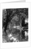 1920s 1930s water in section of abandoned delaware canal reflecting trees lining its banks by Anonymous