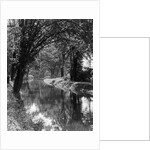 1920s 1930s water in section of abandoned delaware canal reflecting trees lining its banks by Anonymous