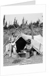 1930s smiling talking couple working by rustic western campsite tent man in cowboy hat smoking pipe washing skillet woman drying dishes by Anonymous