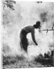 1920s 1930s man cowboy cook bending over campfire by Anonymous