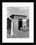 1950s cocker spaniel puppy in doghouse with beware of dog sign by Anonymous