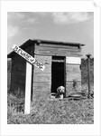 1950s cocker spaniel puppy in doghouse with beware of dog sign by Anonymous