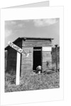 1950s cocker spaniel puppy in doghouse with beware of dog sign by Anonymous