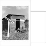 1950s cocker spaniel puppy in doghouse with beware of dog sign by Anonymous