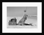 Cocker spaniel dog standing guard over two caught fish and fishing equipment by Anonymous
