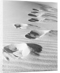 1950s footsteps in sand dunes by Anonymous