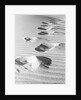 1950s footsteps in sand dunes by Anonymous