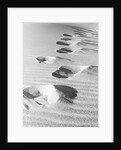 1950s footsteps in sand dunes by Anonymous