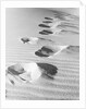 1950s footsteps in sand dunes by Anonymous
