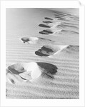 1950s footsteps in sand dunes by Anonymous