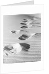 1950s footsteps in sand dunes by Anonymous