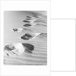 1950s footsteps in sand dunes by Anonymous