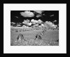 1950s farm scene with stacks of harvested wheat sky with puffy clouds by Anonymous