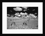 1950s farm scene with stacks of harvested wheat sky with puffy clouds by Anonymous