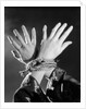 1930s woman's hands tied together by rope overhead view by Anonymous