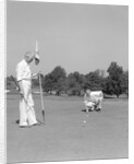 1930s 1940s elderly men on golf green one holding flag the other kneels lining up his putt by Anonymous