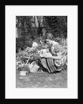 1930s 1940s woman dressed in print dress striped apron kneeling in flowers garden reading a gardening manual by Anonymous