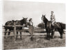1930s 1940s couple in riding gear man riding horse woman standing by wooden fence by Anonymous