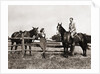 1930s 1940s couple in riding gear man riding horse woman standing by wooden fence by Anonymous