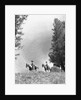 1950s 1960s two men on horseback riding across field wearing cowboy hats by Anonymous