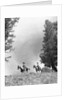 1950s 1960s two men on horseback riding across field wearing cowboy hats by Anonymous