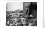 1960s barn door corn apples pumpkins autumn harvest time by Anonymous