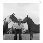 1960s boy wearing cowboy hat holding ropes reins harness halter of 2 horses one on either side of his face kissing him funny by Anonymous