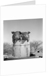 1950s two duroc pigs piglets in a nail keg barrel farm barn in background pork barrel cute by Anonymous