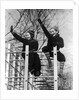 1930s two children waving while sitting on playground equipment by Anonymous