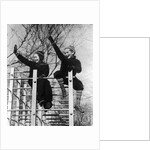 1930s two children waving while sitting on playground equipment by Anonymous