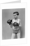 1940s boy child wearing boxing gloves standing ready to fight by Anonymous