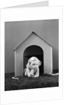 1940s girl in dog house lying on grass looking at camera by Anonymous