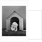 1940s girl in dog house lying on grass looking at camera by Anonymous