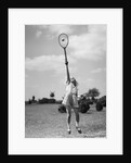 1930s girl playing tennis jumping to hit ball overhead by Anonymous