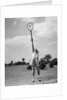 1930s girl playing tennis jumping to hit ball overhead by Anonymous
