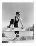 1940s brunette boy wearing overalls climbing over fence by Anonymous