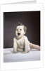 1940s 1950s laughing happy baby by Anonymous