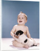 1960s smiling baby girl sitting in diapers playing with young black and white puppy dog by Anonymous