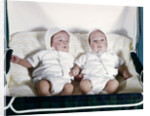 1950s 1960s twin boys dressed in white lying in stroller side by side by Anonymous