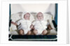 1950s 1960s twin boys dressed in white lying in stroller side by side by Anonymous