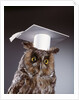 1990s wise old owl wearing white mortarboard graduation cap by Anonymous