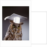 1990s wise old owl wearing white mortarboard graduation cap by Anonymous
