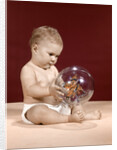 1960s baby sitting holding clear plastic toy ball with butterflies inside by Anonymous
