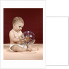 1960s baby sitting holding clear plastic toy ball with butterflies inside by Anonymous