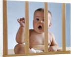 1960s baby in crib or playpen looking through bars alarmed expression by Anonymous