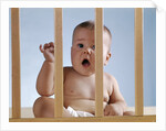 1960s baby in crib or playpen looking through bars alarmed expression by Anonymous