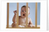 1960s baby in crib or playpen looking through bars alarmed expression by Anonymous