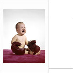 1960s crying baby wearing large boxing gloves by Anonymous